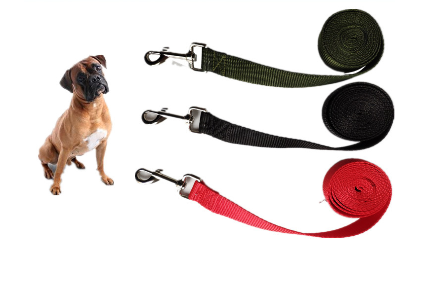 2.5CM Wide Long Dog Rope Leash